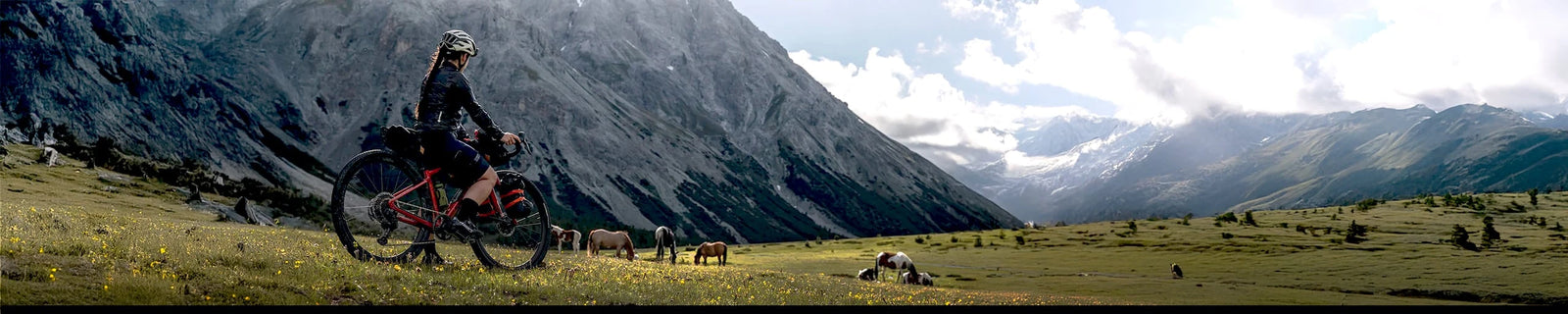 Tuotemerkit | RESTRAP