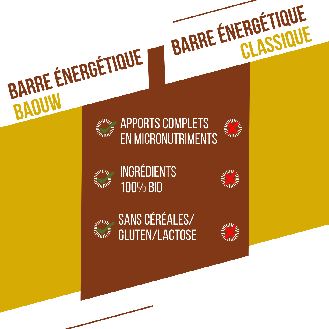 BAOUW ORGANIC EXTRA banaani-pekaani energiapatukka (50g)