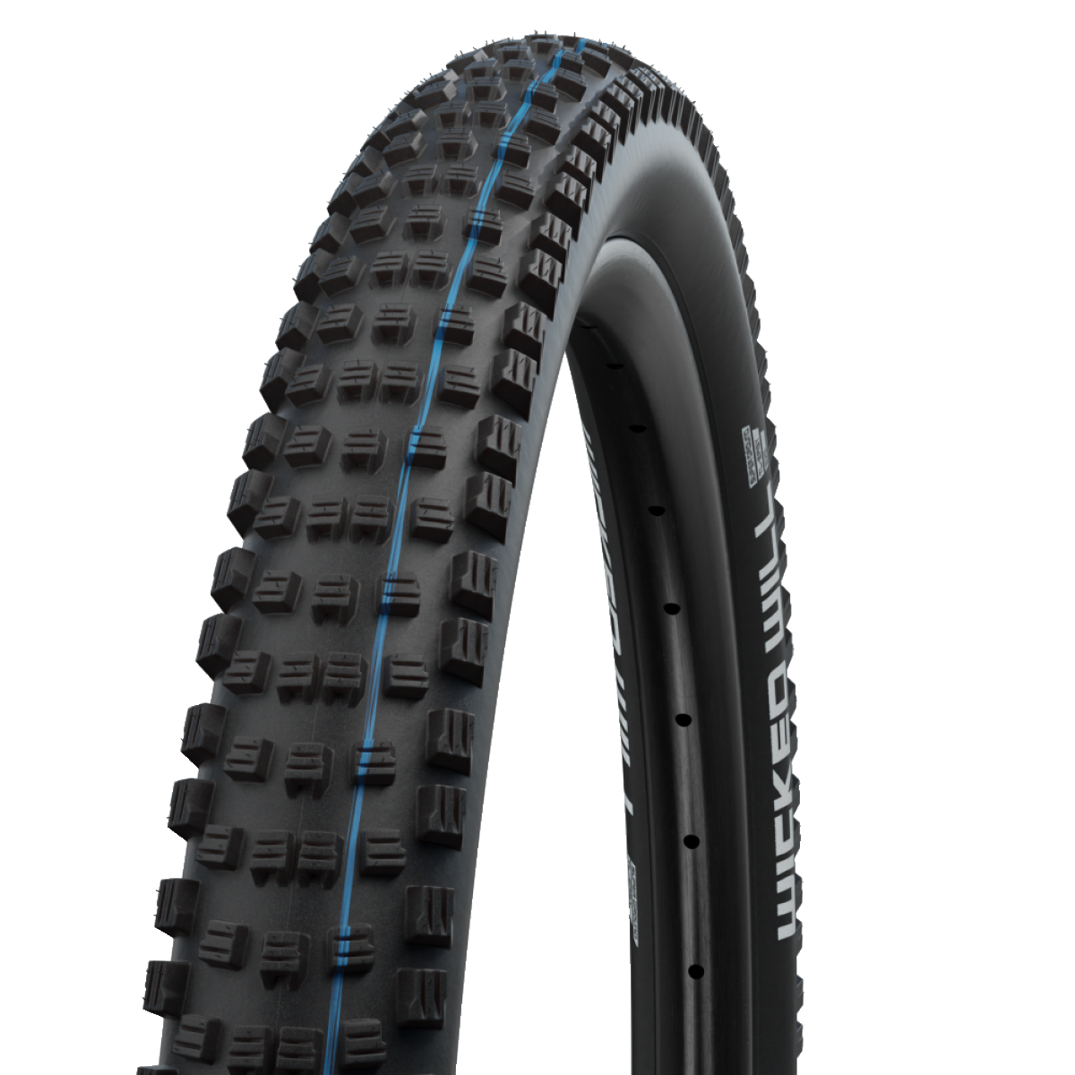 SCHWALBE WICKED WILL 29x2.60 ADDIX SPEEDGRIP SUPERGROUND Tubeless Ready Soft Musta rengas