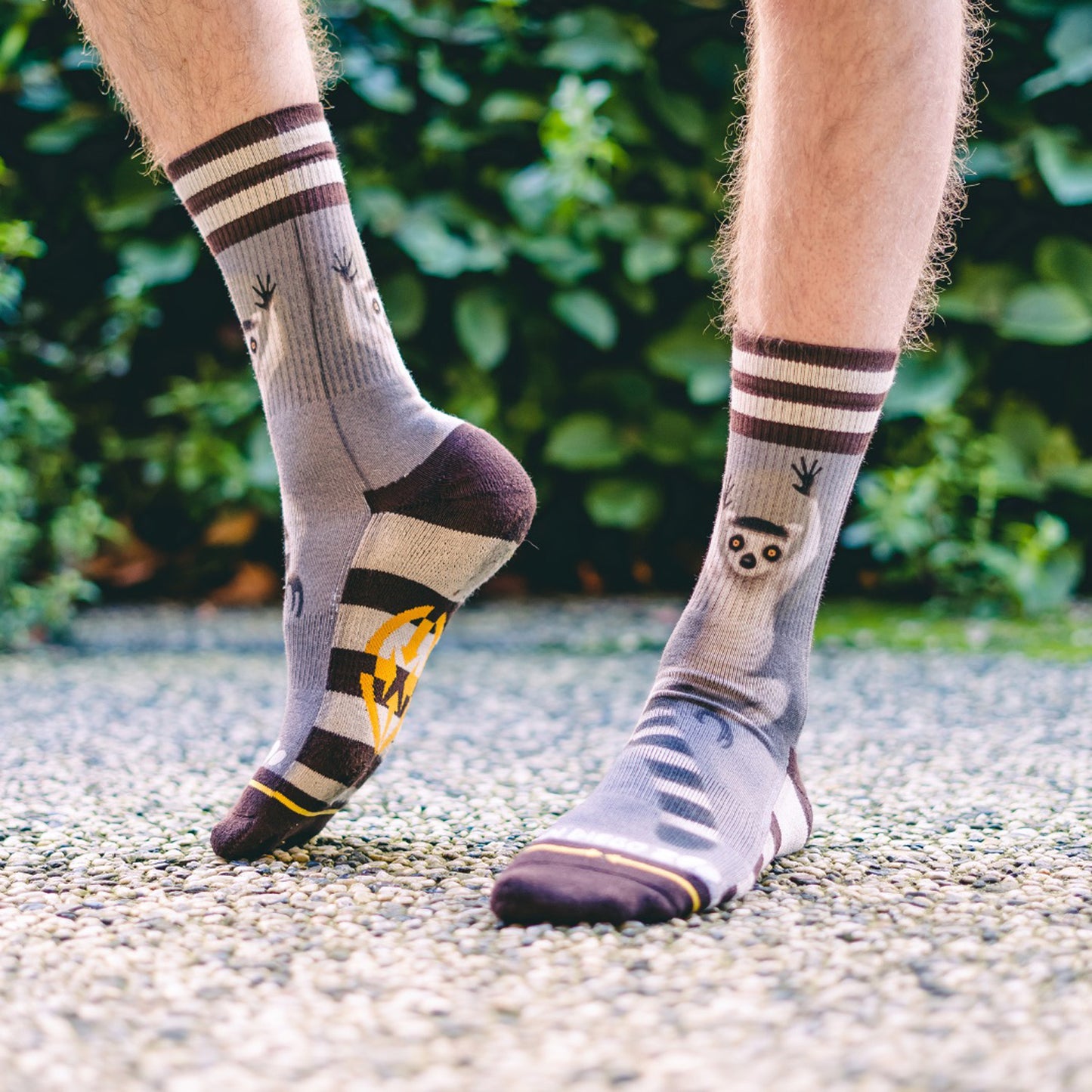 MERGE4 RENGASHÄNTÄ LEMUR-sukat