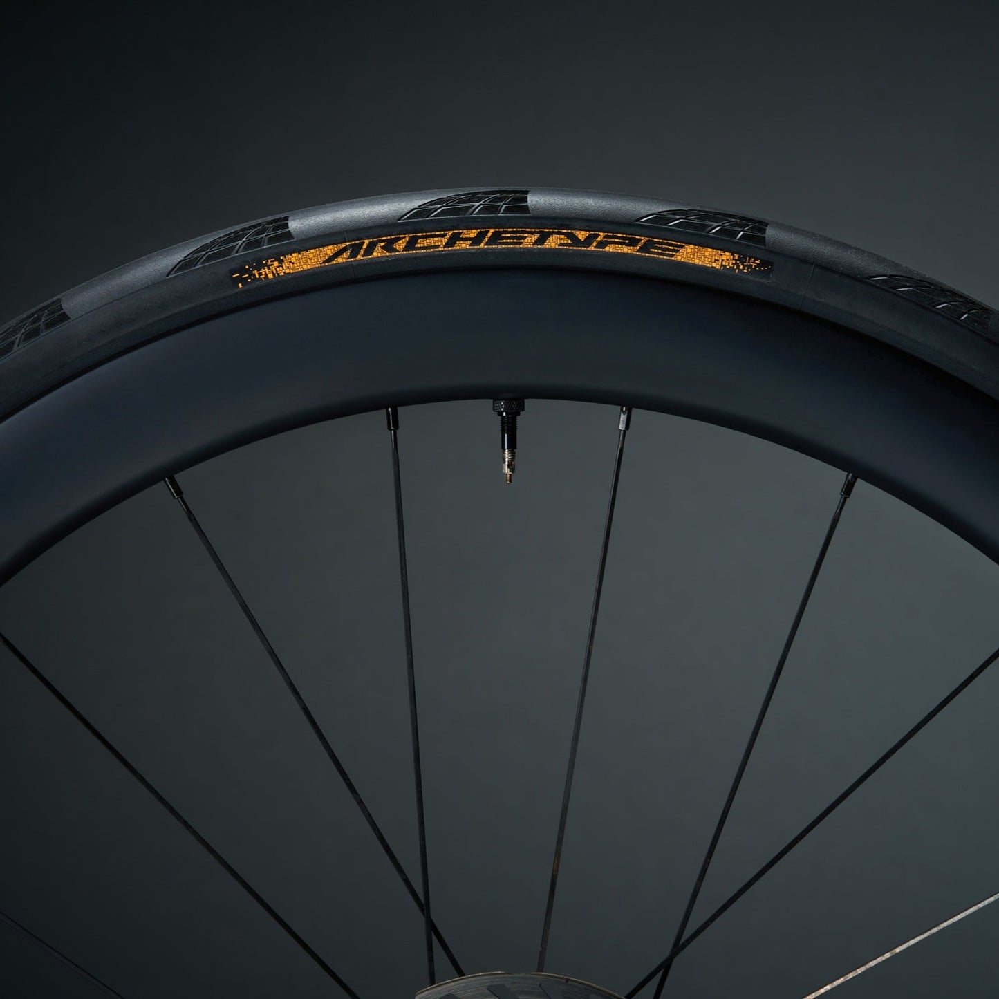CONTINENTAL ARCHETYPE TDF 2025 700x30c Tubeless Ready Musta rengas - rajoitettu erä
