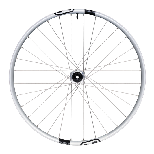 Takapyörä CRANKBROTHERS SYNTHESIS Alumiini 2.0 E-BIKE I9 29" 12x148 mm Boost Hopea