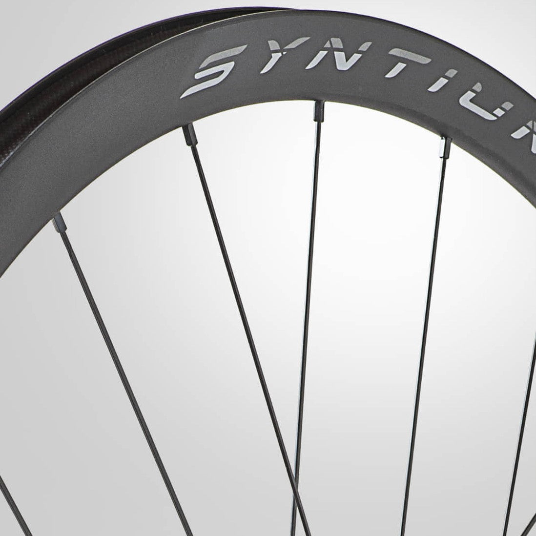 Pari MICHE SYNTIUM WP DX WR DISC Tubeless Ready -pyörät (keskuslukko)