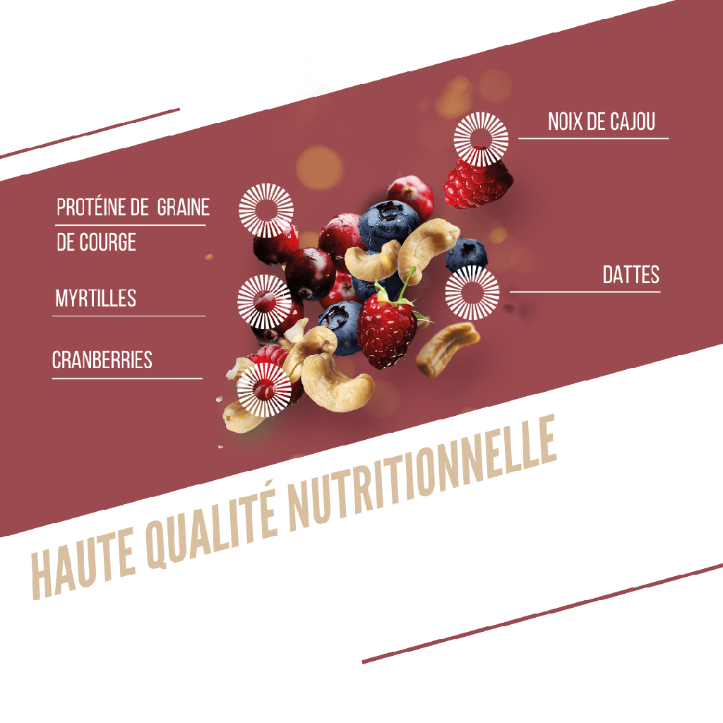 BAOUW ORGANIC EXTRA Red Fruits/Cashew proteiinipatukka (50g)
