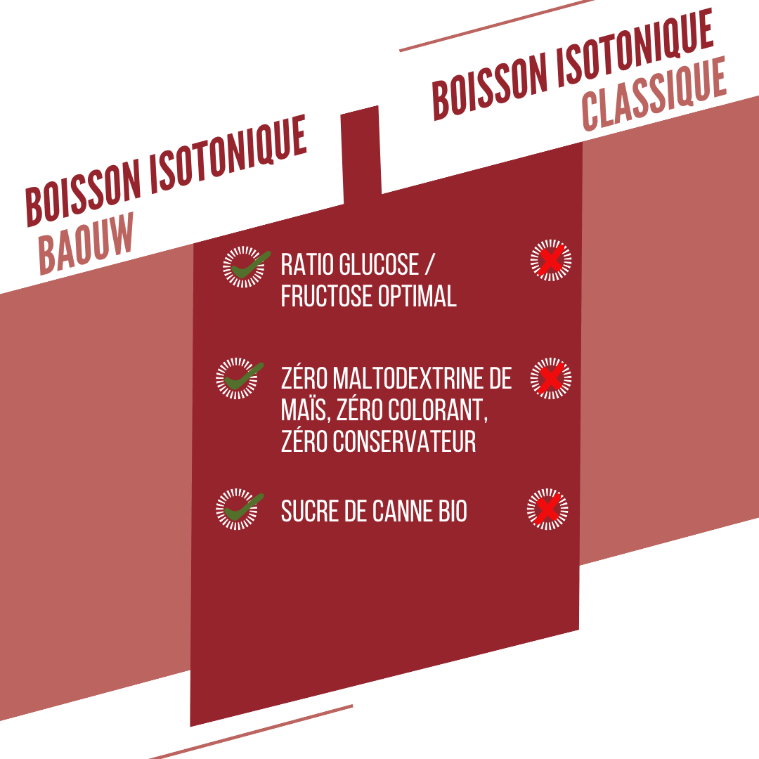 BAOUW ISOTONIC energiajuoma (45g) vesimeloni/granaattiomena)