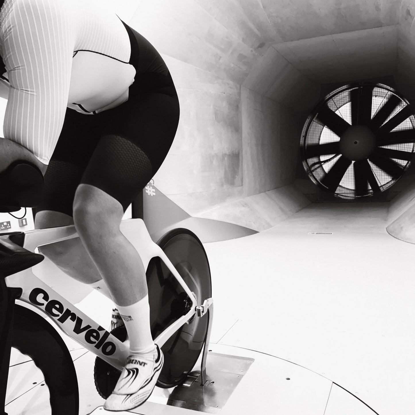 SPATZWEAR SPATZ AERO SOKZ Sukat Valkoinen