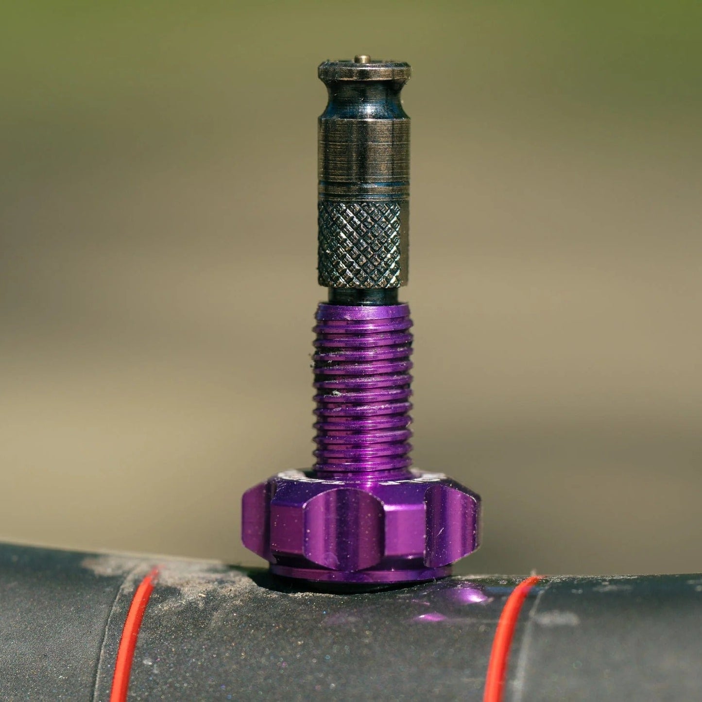 Tubeless venttiili WOLF TOOTH CLIK VALVE Ultravioletti Violetti Violetti