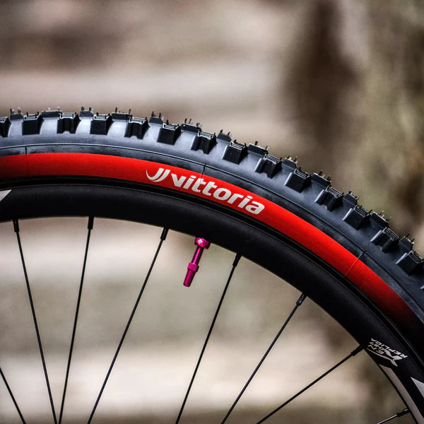 VITTORIA MAZZA ENDURO RACE 29x2.60 Graphene/Silica Tubeless Ready Soft Black -rengas VITTORIA MAZZA ENDURO RACE 29x2.60 Graphene/Silica Tubeless Ready Soft Musta -rengas