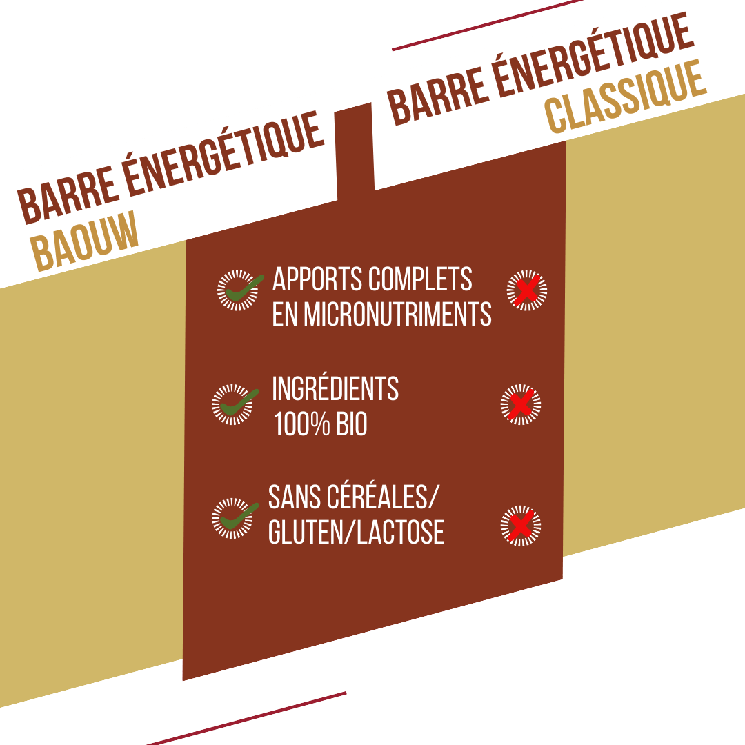 BAOUW ORGANIC EXTRA Vanilja-Macadamia energiapatukka (50g)