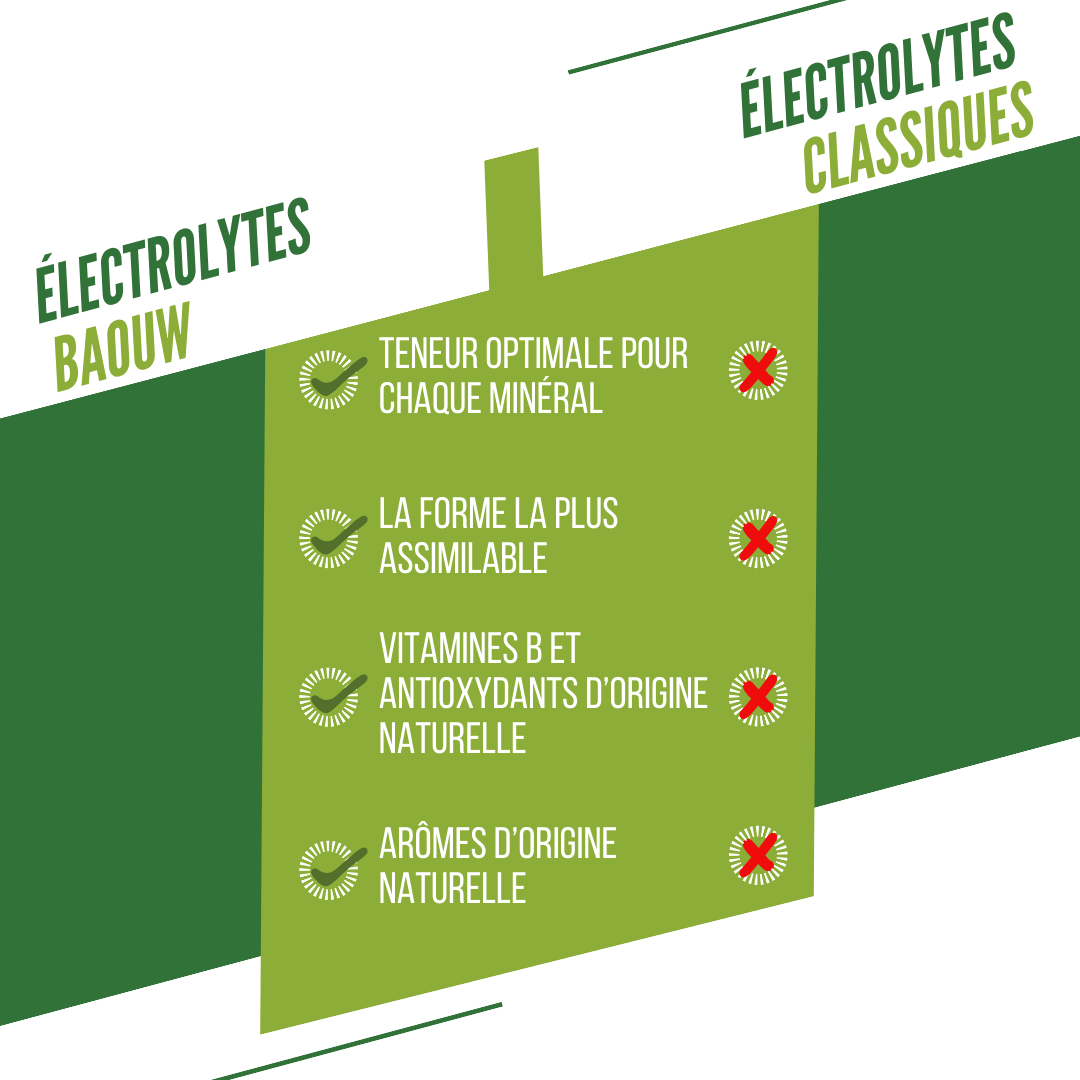 BAOUW Energiajuoma (10 tabletin putki) Lime/Mintti