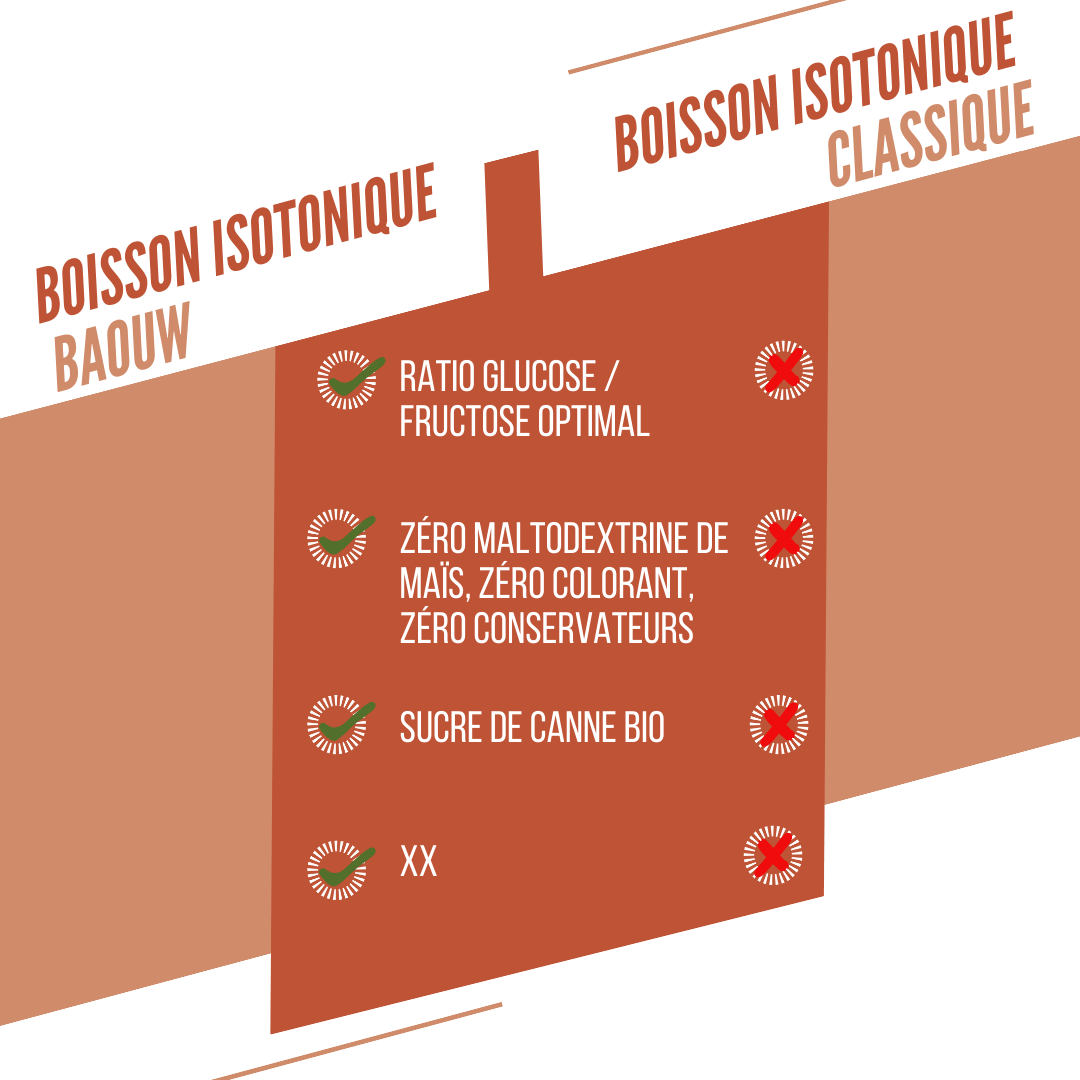 BAOUW ISOTONIC energiajuoma (585g) Persikka Rosmariini