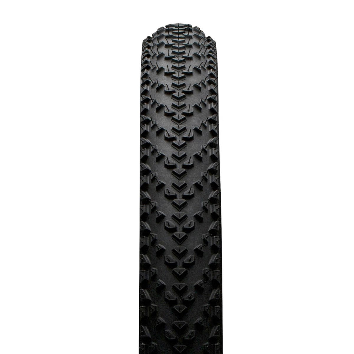 CONTINENTAL RACE KING 29x2.20 ProTection Tubeless Ready Soft Musta rengas