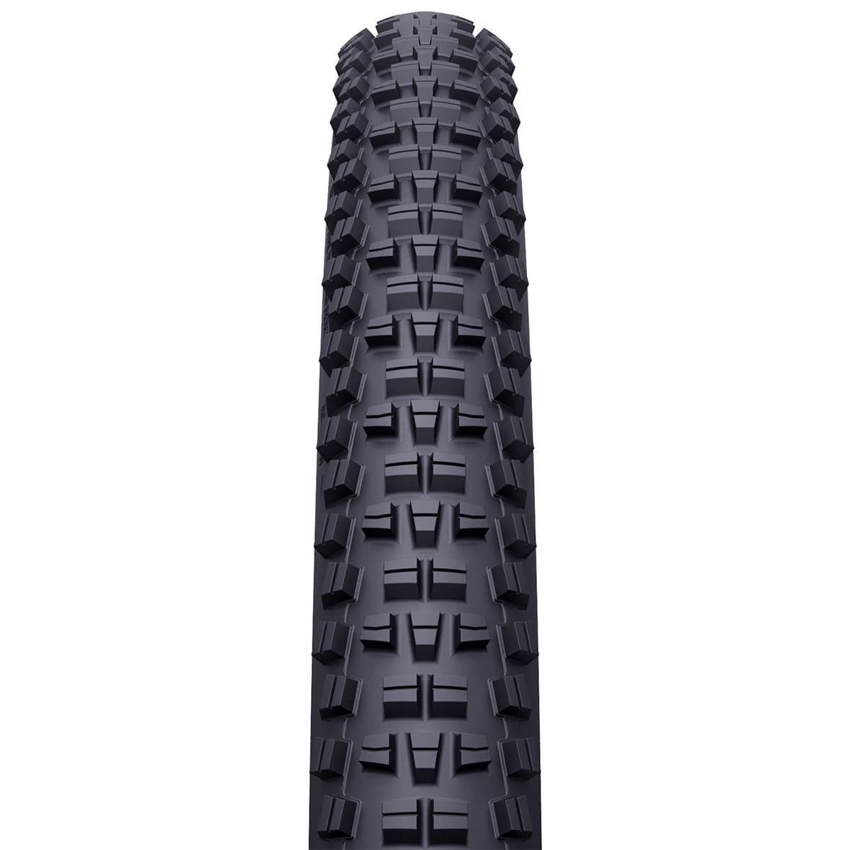 Pneu WTB TRAIL BOSS 29x2,40 TCS Tough Tubeless Ready Souple W010-0894