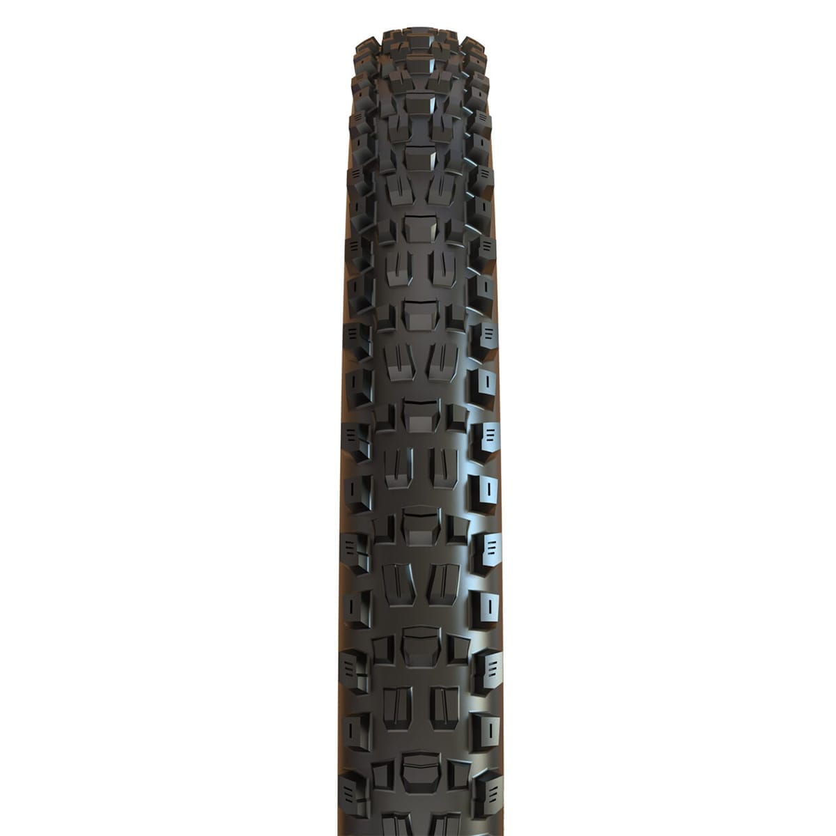 MAXXIS ASSEGAI 29x2.50 WT BikePark DH Tubeless Ready jäykkä musta rengas