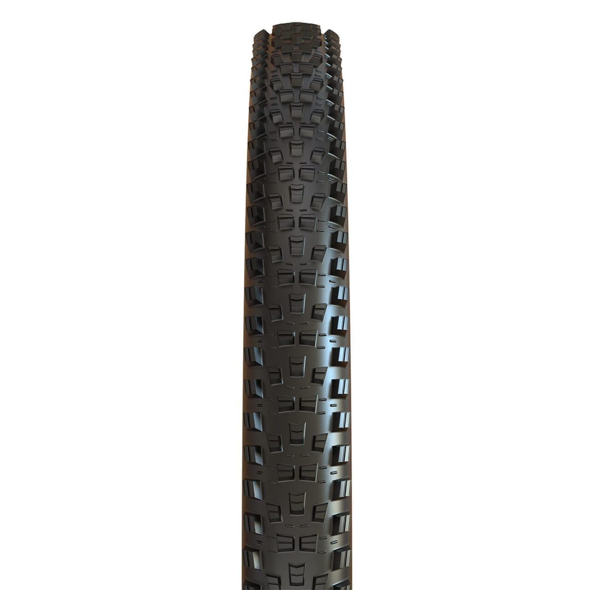 MAXXIS FOREKASTER 29x2.60 Exo+ 3C MaxxTerra Tubeless Ready Soft Musta rengas