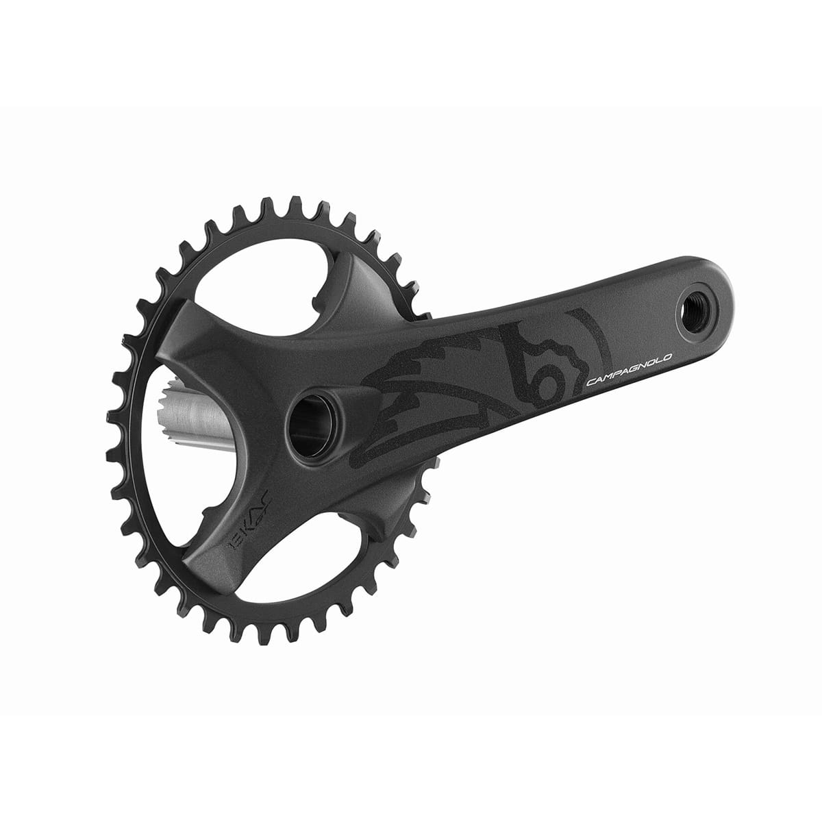 13V CAMPAGNOLO EKAR GT kampiakseli