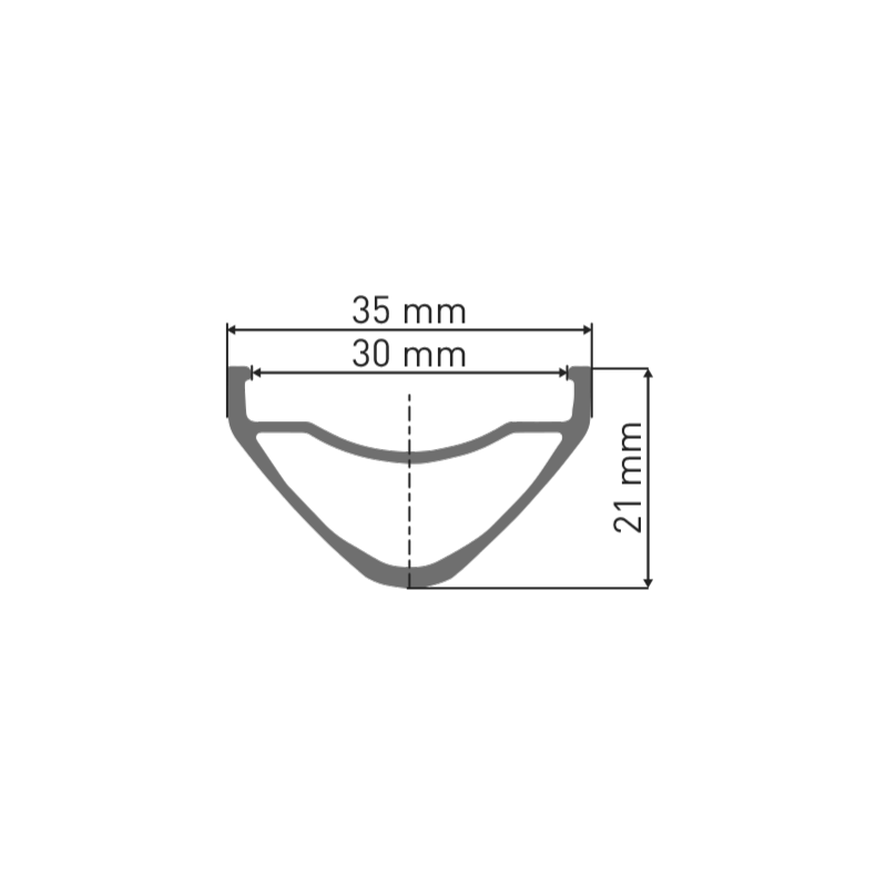 DT SWISS FR 541 29'' 30 mm:n vanne