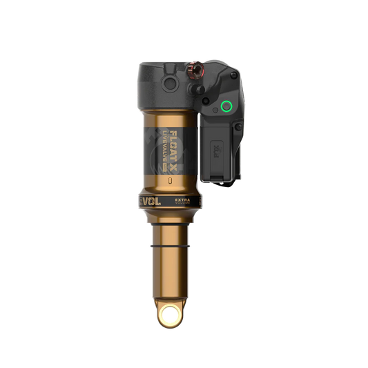 FOX FLOAT X LIVE VALVE NEO FACTORY Evol LV Trunnion 2026 iskunvaimennin
