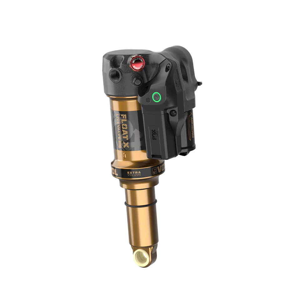 FOX FLOAT X LIVE VALVE NEO FACTORY Evol LV Trunnion 2026 iskunvaimennin