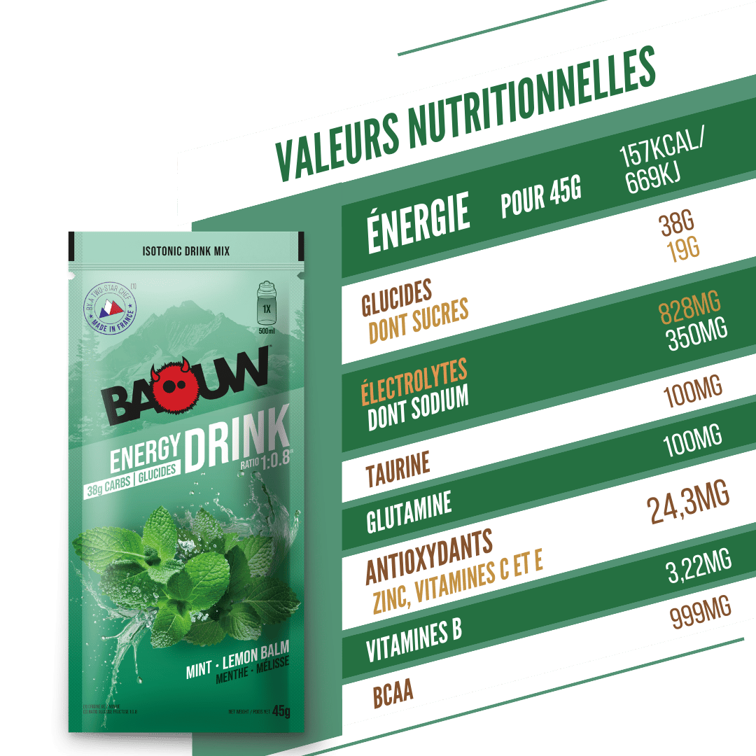 BAOUW ISOTONIC energiajuoma (45g) Minttu/Melissaa