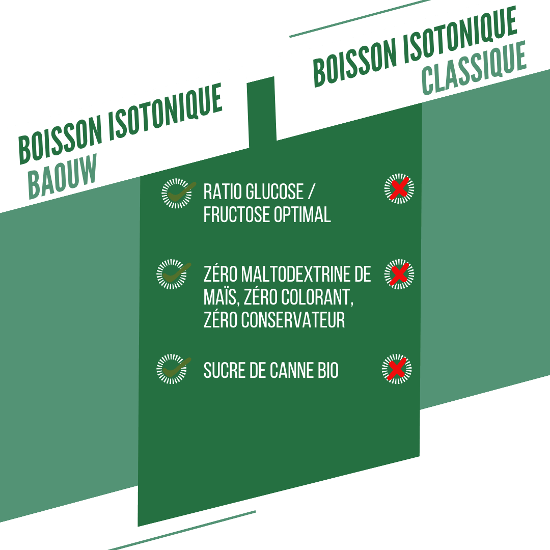 BAOUW ISOTONIC energiajuoma (45g) Minttu/Melissaa