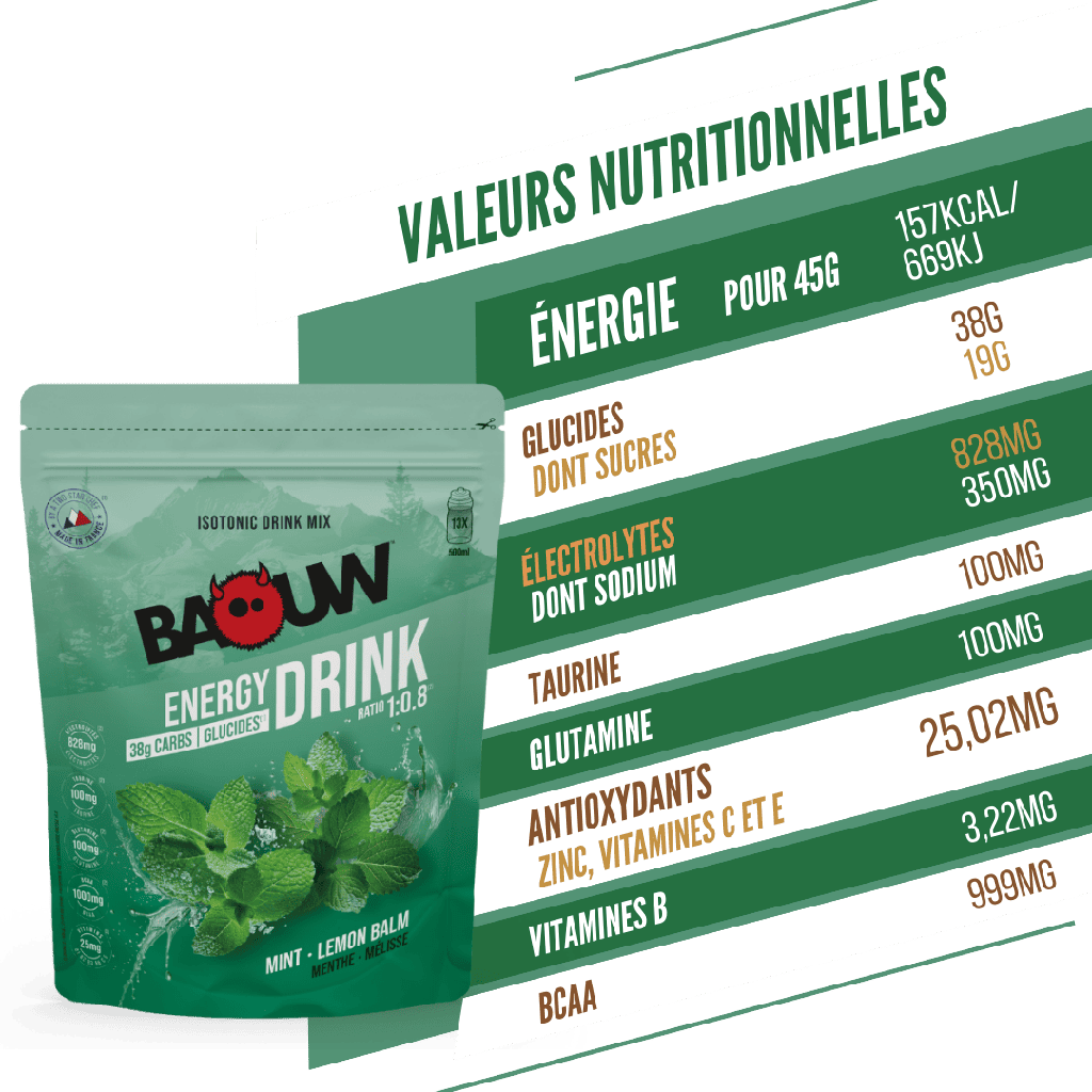 BAOUW ISOTONIC energiajuoma (585g) Mint/Melissa
