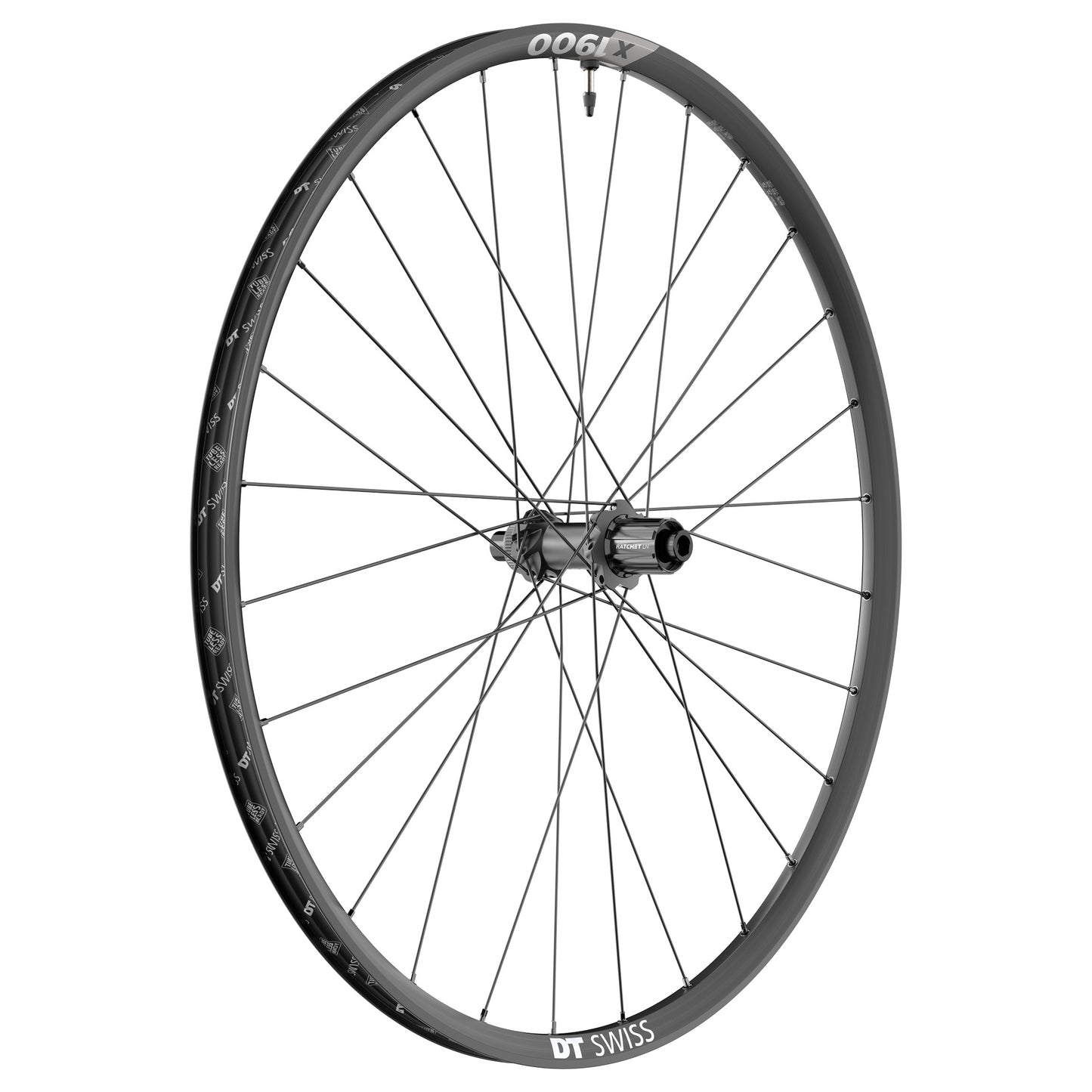 DT SWISS X 1900 SPLINE Takapyörä 25 mm 29" 12x148 mm 12x148 mm