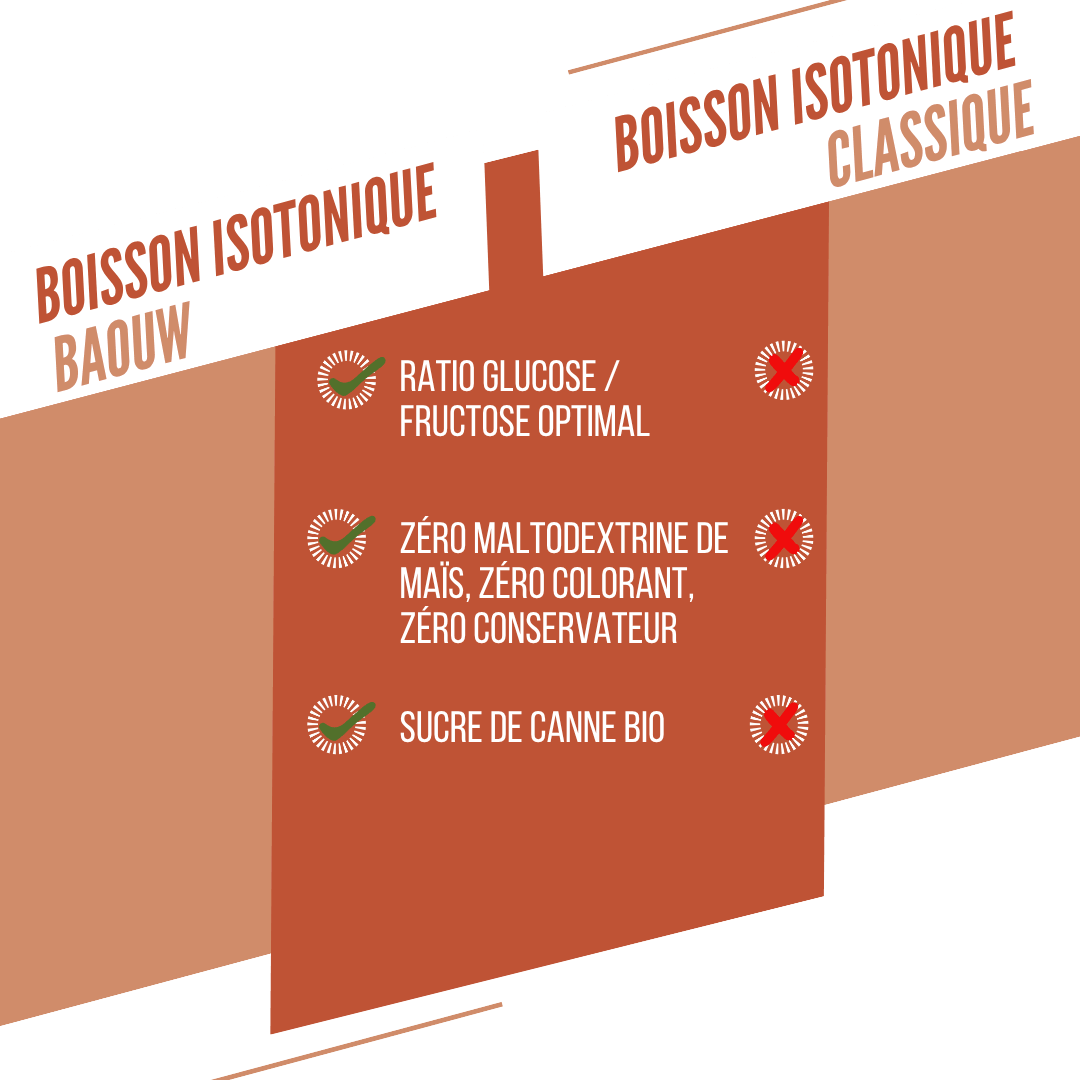 BAOUW ISOTONIC energiajuoma (45g) Persikka/Rosmariini