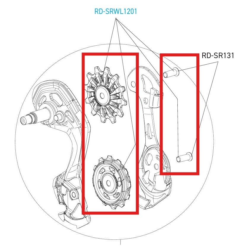 CAMPAGNOLO SUPER-RECORD 12V WRL DISC-vaihtajanavat Navat