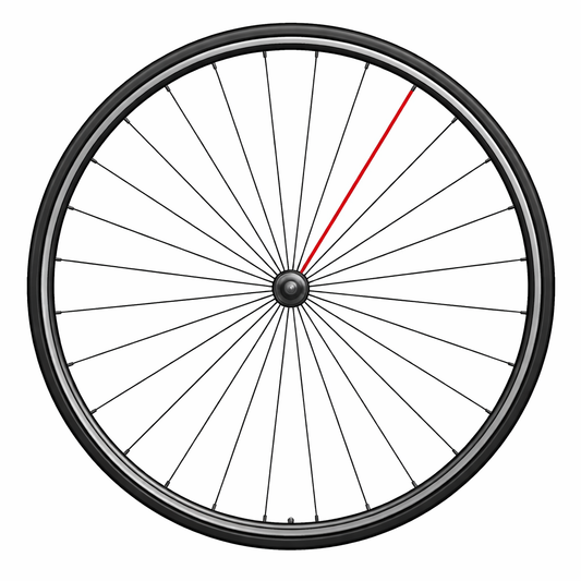 CAMPAGNOLO TÄYDELLINEN ETUPYÖRÄPYÖRÄ SHAMAL C17 (1 KPL).