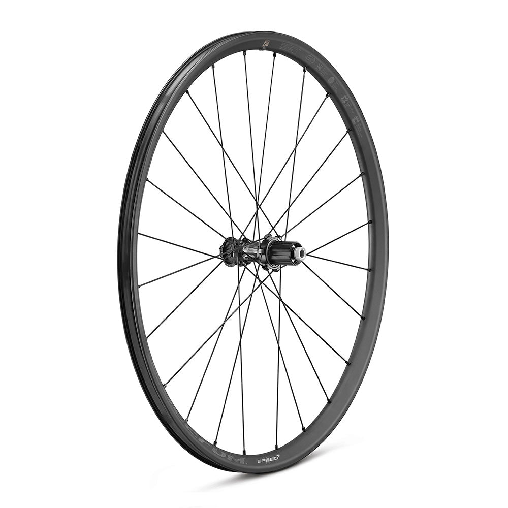 Pari FULCRUM SPEED 25+ DISC Tubeless Ready -pyörää (keskuslukko)