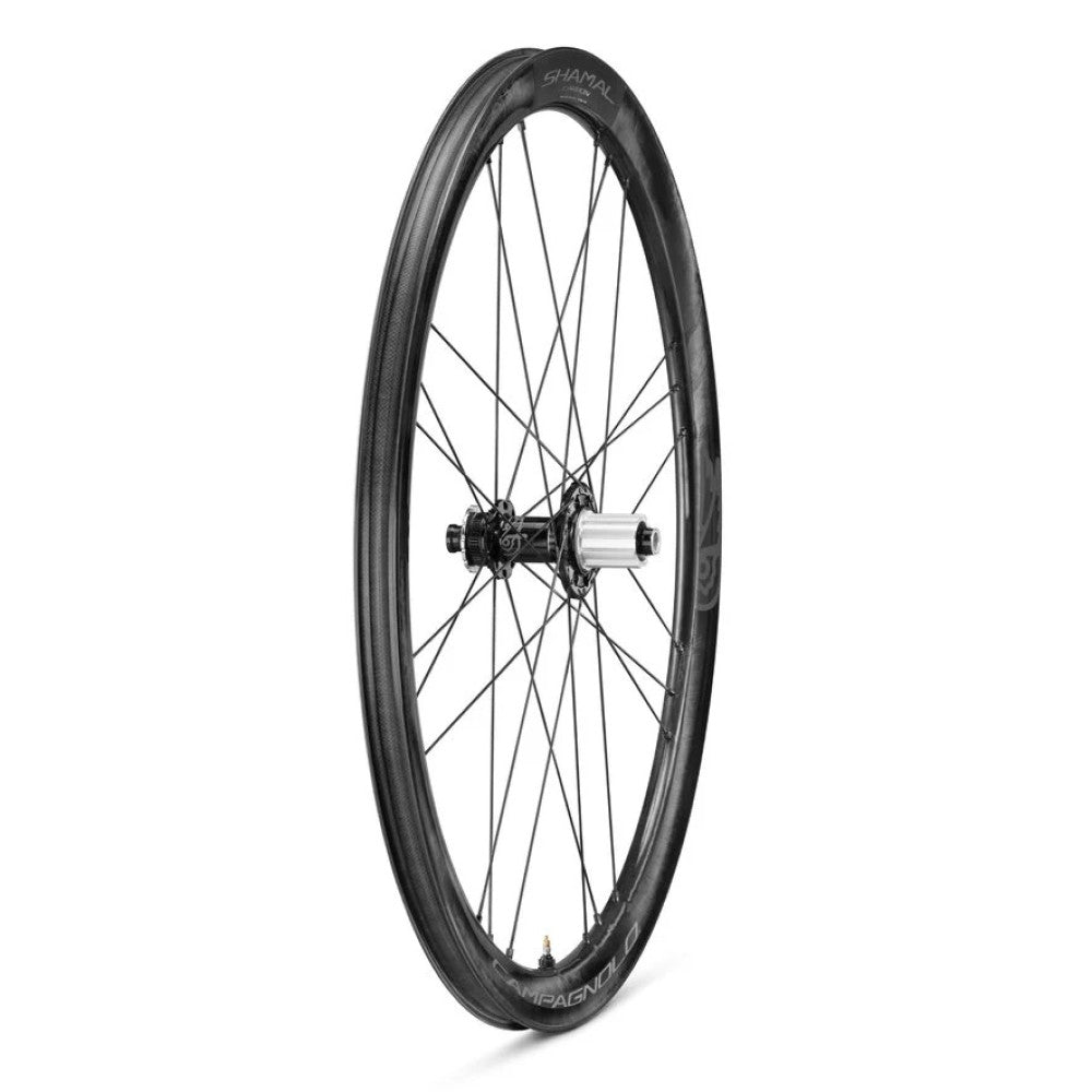 Pari CAMPAGNOLO SHAMAL CARBON Tubeless Ready -pyörää (keskuslukko)