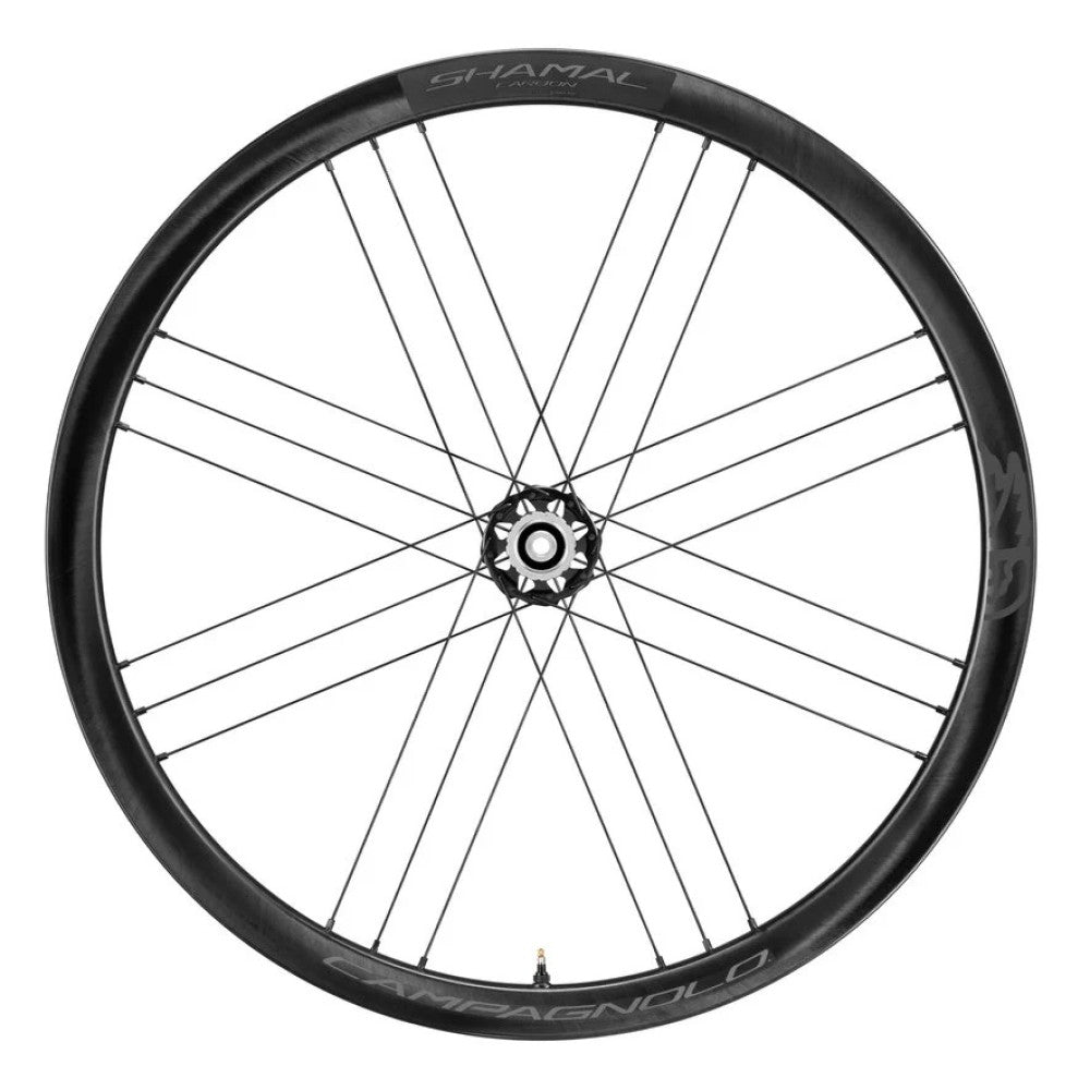 Pari CAMPAGNOLO SHAMAL CARBON Tubeless Ready -pyörää (keskuslukko)