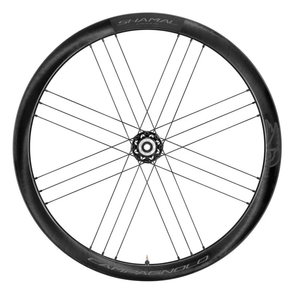 Pari CAMPAGNOLO SHAMAL CARBON Tubeless Ready -pyörää (keskuslukko)