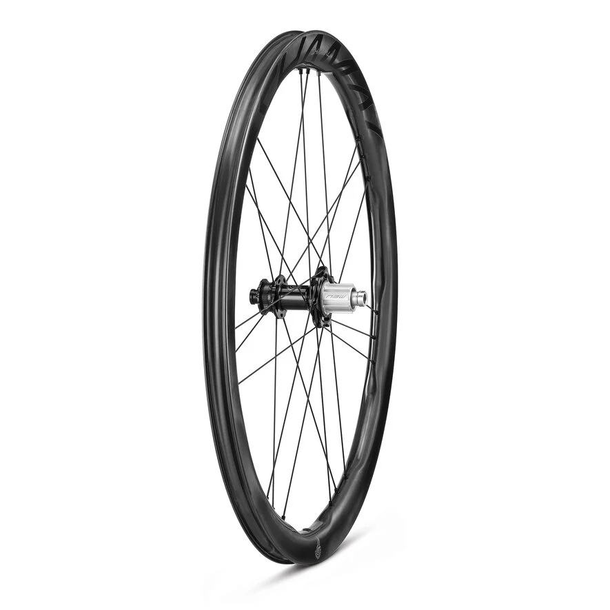 Pari CAMPAGNOLO SHAMAL DUAL PROFIILI CARBON C23 Tubeless Ready pyörät (keskuslukko)