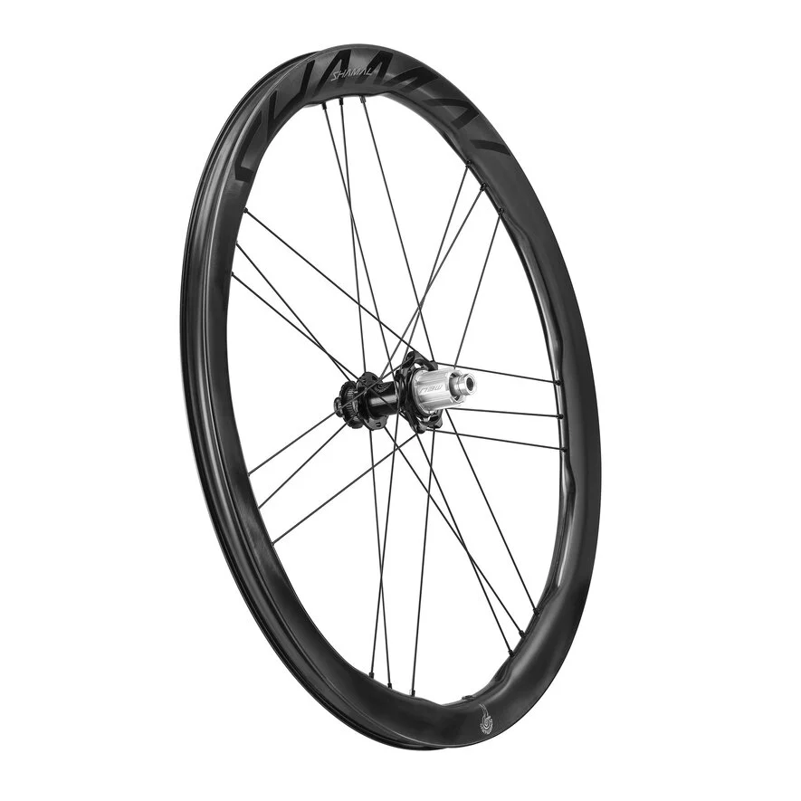 Pari CAMPAGNOLO SHAMAL DUAL PROFIILI CARBON C23 Tubeless Ready pyörät (keskuslukko)