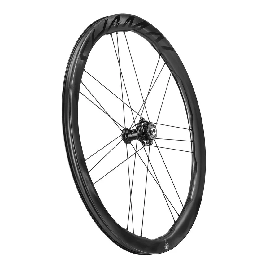 Pari CAMPAGNOLO SHAMAL DUAL PROFIILI CARBON C23 Tubeless Ready pyörät (keskuslukko)