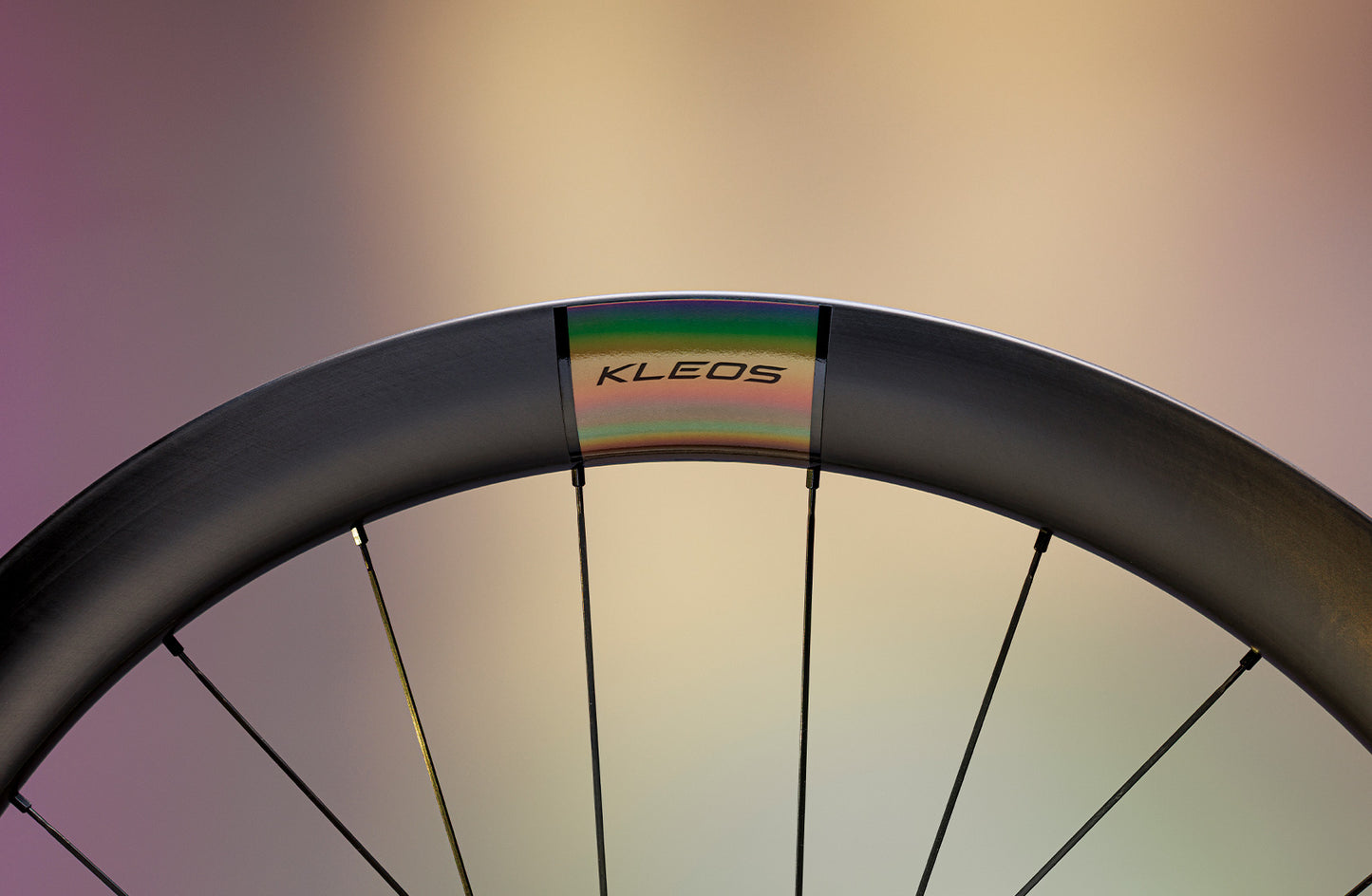 Pari MICHE KLEOS 50 Tubeless Ready pyörää (keskuslukko)