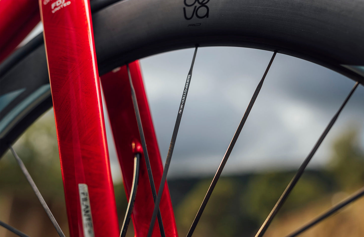 Pari MICHE DEVA RD 52 Tubeless Ready pyörää (keskuslukko) Musta