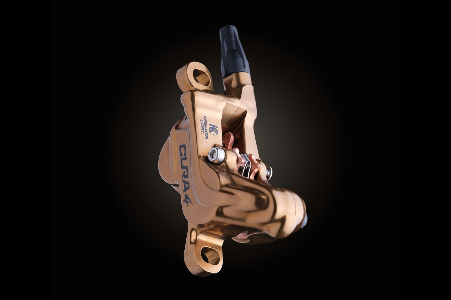 FORMULA CURA 4 Kashima -etu- tai takajarru