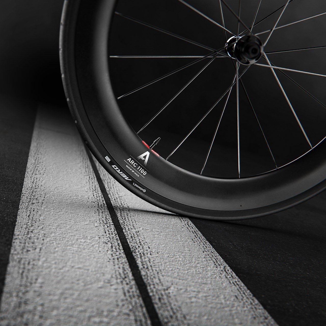 Pari DT SWISS ARC 1100 DICUT WTS 55 Tubeless Ready -pyörät (keskuslukko)